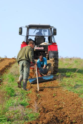 erdeszeti-szolgaltatasok-erdosites-potlasa-geppel